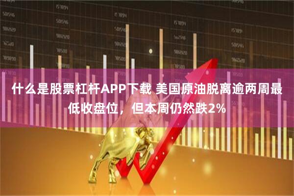 什么是股票杠杆APP下载 美国原油脱离逾两周最低收盘位，但本周仍然跌2%