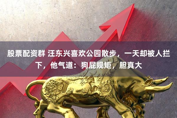 股票配资群 汪东兴喜欢公园散步，一天却被人拦下，他气道：狗屁规矩，胆真大