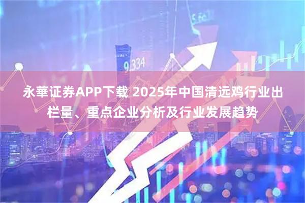 永華证券APP下载 2025年中国清远鸡行业出栏量、重点企业分析及行业发展趋势