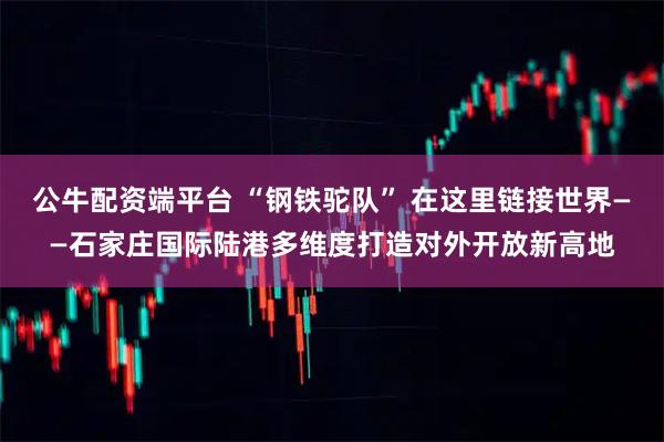 公牛配资端平台 “钢铁驼队” 在这里链接世界——石家庄国际陆港多维度打造对外开放新高地