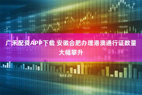 广禾配资APP下载 安徽合肥办理港澳通行证数量大幅攀升